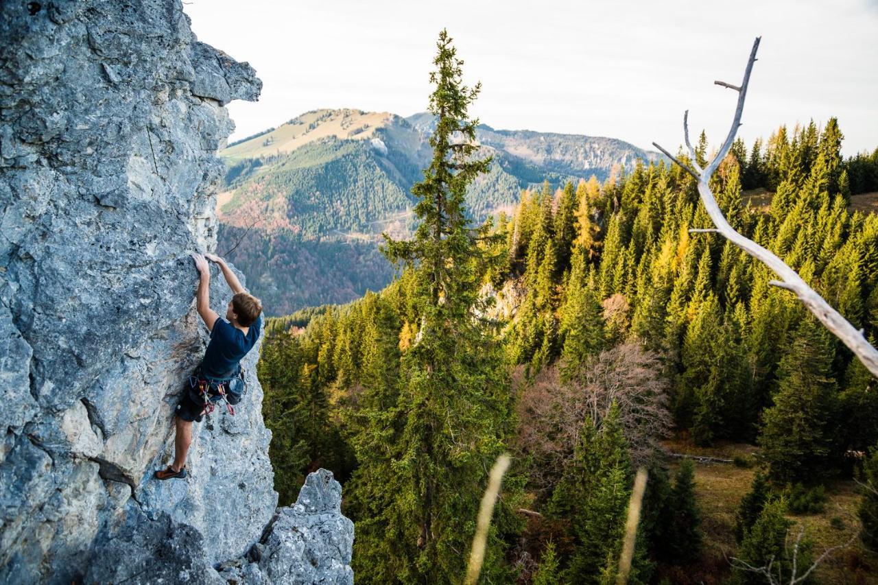 Pension Bergblick Ruhpolding Εξωτερικό φωτογραφία