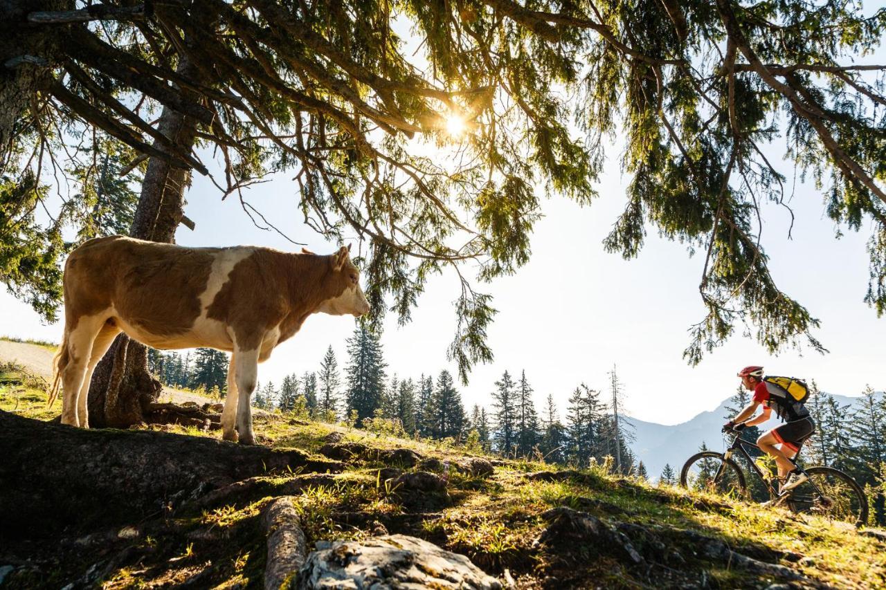 Pension Bergblick Ruhpolding Εξωτερικό φωτογραφία