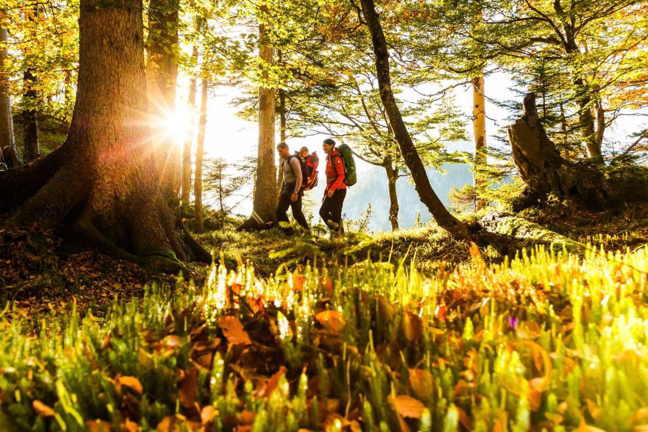 Pension Bergblick Ruhpolding Εξωτερικό φωτογραφία